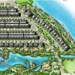 thiết kế lavila