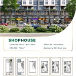 shophouse-lotte-land
