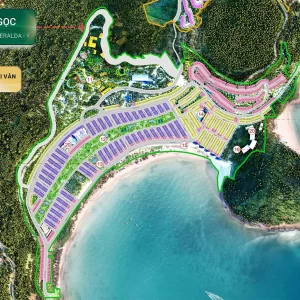 Dao-Ngoc_result